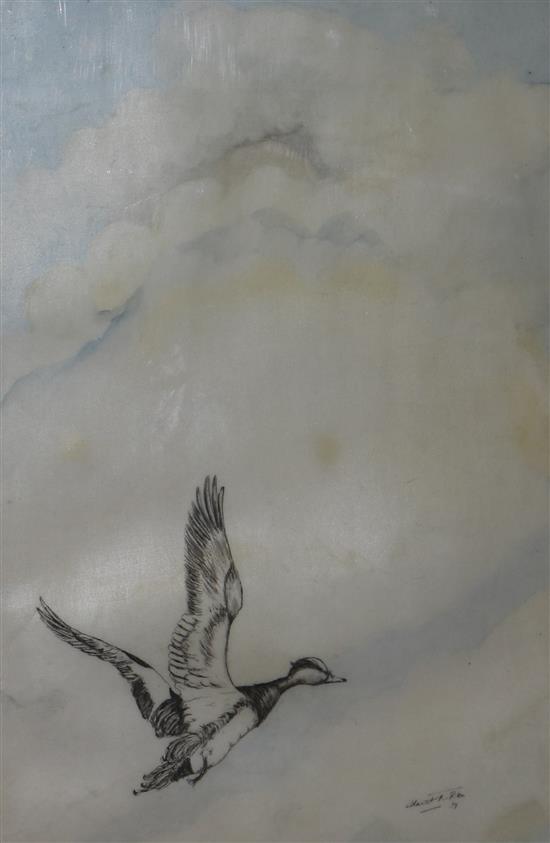 Stuart Pike Duck and Kingfisher in flight 29 x 19cm